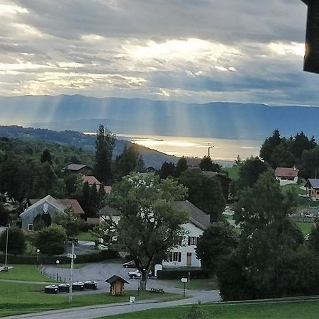 Balcony Of Lake Geneva Thollon-les-Memises 外观 照片